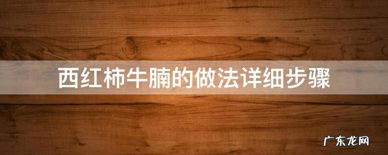 西红柿牛腩的做法大全家常 西红柿牛腩的做法详细步骤
