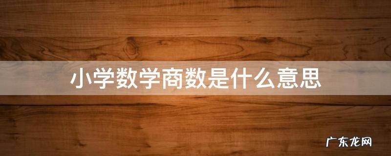 小学数学商数是什么意思 小学数学的商是什么意思