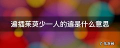 遍插茱萸少一人的遍是什么意思解释 遍插茱萸少一人的遍是什么意思