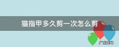 猫指甲多长剪一次 猫指甲多久剪一次怎么剪