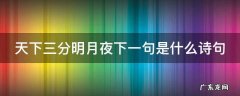 天下三分明月夜下一句是什么诗句 天下三分明月夜的下一句是啥