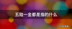 五险一金指的是什么呢 五险一金都是指的什么