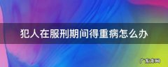 犯人在监狱服刑期间患重病怎么办 犯人在服刑期间得重病怎么办