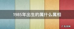 1985年出生的人属什么属相 1985年出生的属什么属相
