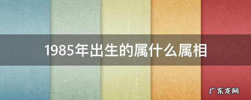 1985年出生的人属什么属相 1985年出生的属什么属相