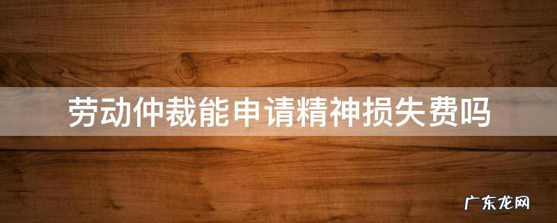 劳动仲裁可以要求赔偿和精神损失费吗 劳动仲裁能申请精神损失费吗