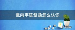 戴向宇陈紫函怎么认识 戴向宇与陈紫函怎么认识的