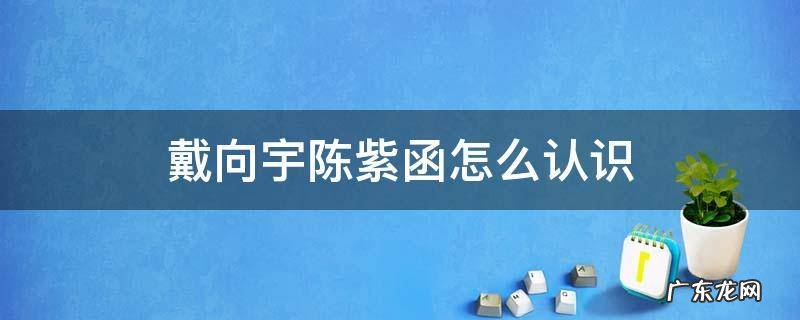 戴向宇陈紫函怎么认识 戴向宇与陈紫函怎么认识的