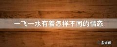 一飞一水有着怎样不同的情态 一个水一个飞