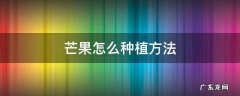 芒果怎么种植方法视频教程 芒果怎么种植方法