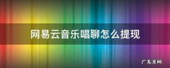 网易云音乐唱聊功能 网易云音乐唱聊怎么提现