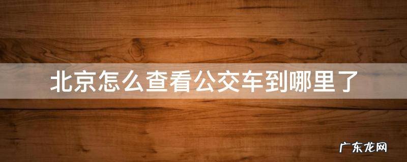 如何看北京公交车到哪里了 北京怎么查看公交车到哪里了