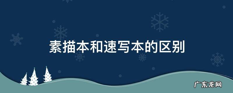 素描本和速写本的区别是什么 素描本和速写本的区别