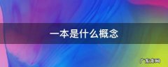 什么叫做一本 一本是什么概念