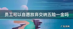 员工是否可以主动放弃五险一金 员工可以自愿放弃交纳五险一金吗