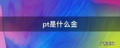pt999是什么金 pt是什么金