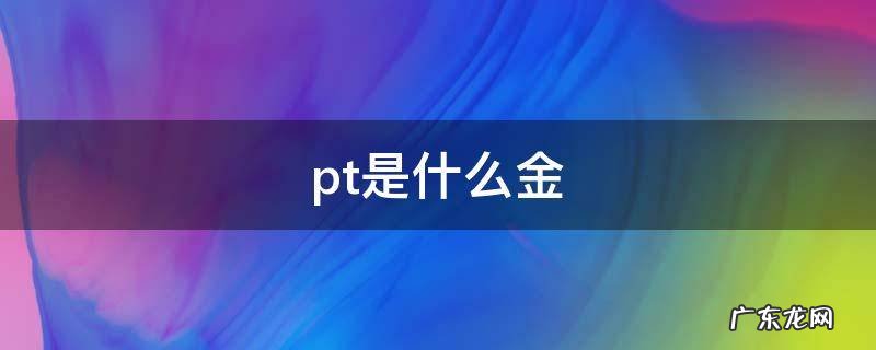 pt999是什么金 pt是什么金
