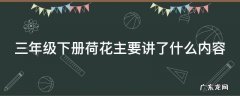 三年级下册荷花主要讲了什么内容 小学三年级语文课文荷花的主要内容