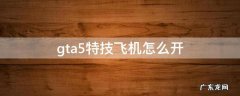 gta5特技飞机怎么开不了 gta5特技飞机怎么开