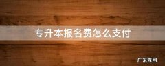 专升本报名费怎么支付 专升本需要报名费