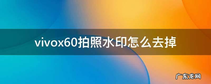 vivox60照片去水印 vivox60拍照水印怎么去掉