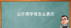 公斤用字母怎么表示 公斤用字母什么表示