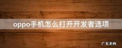 oppo手机怎么打开开发者选项 怎样打开oppo手机开发者选项