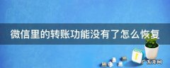 微信里的转账功能没有了怎么恢复正常 微信里的转账功能没有了怎么恢复