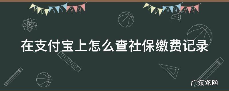 在支付宝上怎么查社保缴费记录安全吗 在支付宝上怎么查社保缴费记录