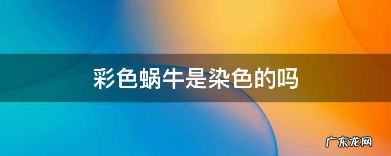 彩色蜗牛是染色的吗 蜗牛染什么颜色