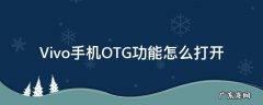 Vivo手机OTG功能怎么打开 怎么打开OTG功能vivo