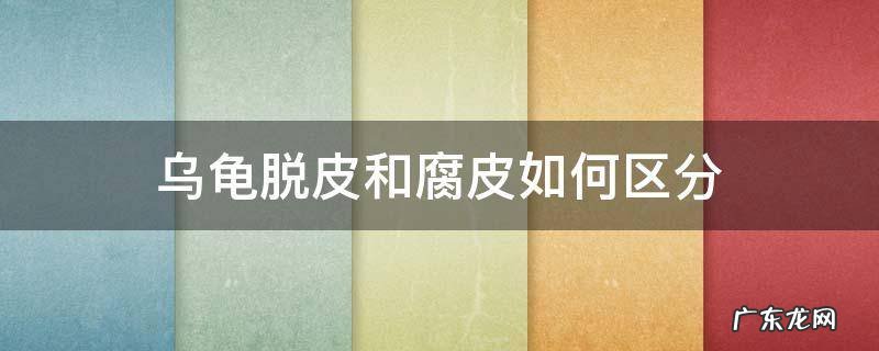 乌龟脱皮和腐皮如何区分 乌龟脱皮和腐皮的区别