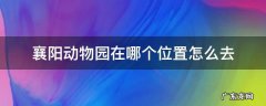 襄阳动物园在哪里 襄阳动物园在哪个位置怎么去