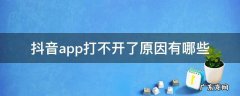 抖音app打不开了原因有哪些 手机下载不了抖音app怎么回事