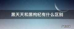 黑天天和黑枸杞有什么区别 黑天天和黑枸杞的区别