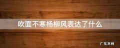 吹面不寒杨柳风表达了什么 吹面不寒杨柳风描写的是什么