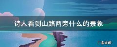 山中这首诗描绘了怎样的景象 诗人看到山路两旁什么的景象
