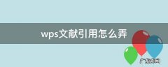 wpsword怎么引用文献 wps文献引用怎么弄