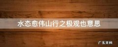 水态愈伟山行之极观也意思 水态愈伟山行之极观也意思翻译