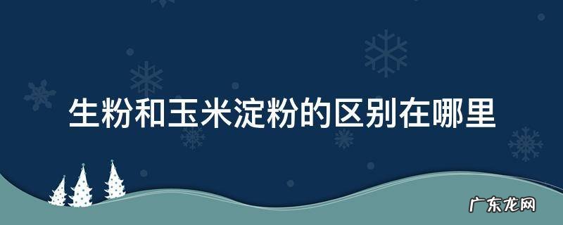 生粉和玉米淀粉的区别在哪里 玉米淀粉和生粉有什么区别