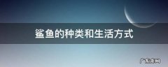 鲨鱼的种类和生活环境 鲨鱼的种类和生活方式