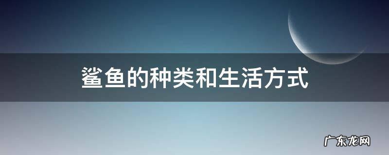 鲨鱼的种类和生活环境 鲨鱼的种类和生活方式