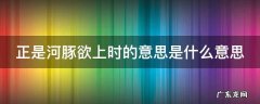 正是河豚欲上时这句诗的大意是什么 正是河豚欲上时的意思是什么意思