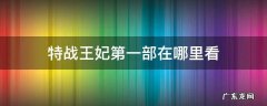 特战王妃第二部电视剧免费观看全集 特战王妃第一部在哪里看