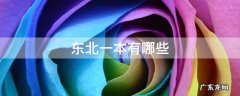 东北地区一本 东北一本有哪些
