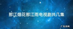 电视剧那烟花那江雨总共几集 那江烟花那江雨电视剧共几集
