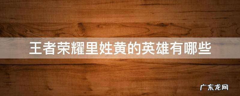 王者荣耀里姓黄的英雄有哪些 王者荣耀里面姓黄的英雄有哪些