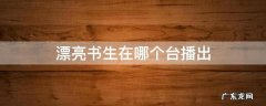 漂亮书生在哪个台播出 漂亮书生在电视上什么时候播出