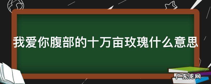 我爱你腹部的十万亩玫瑰什么意思