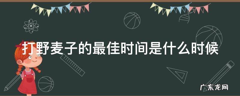 打野麦子的最佳时间是什么时候 打野麦子几天见效